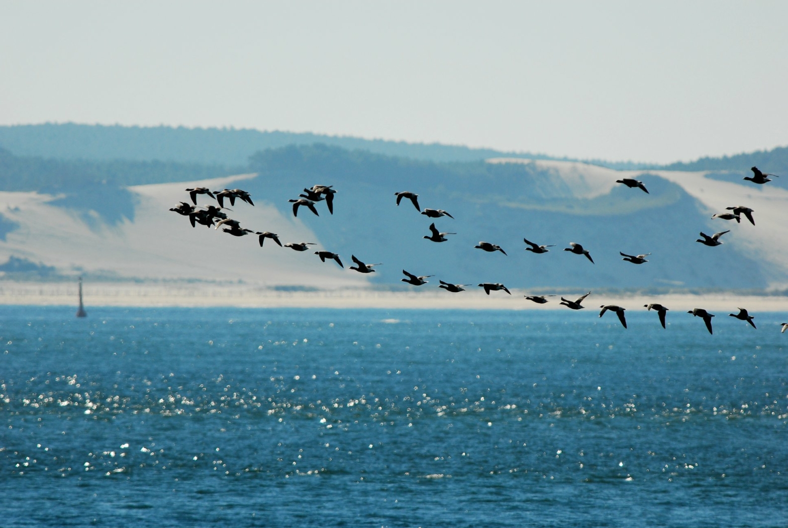 Ligue pour la Protection des Oiseaux (LPO Aquitaine)