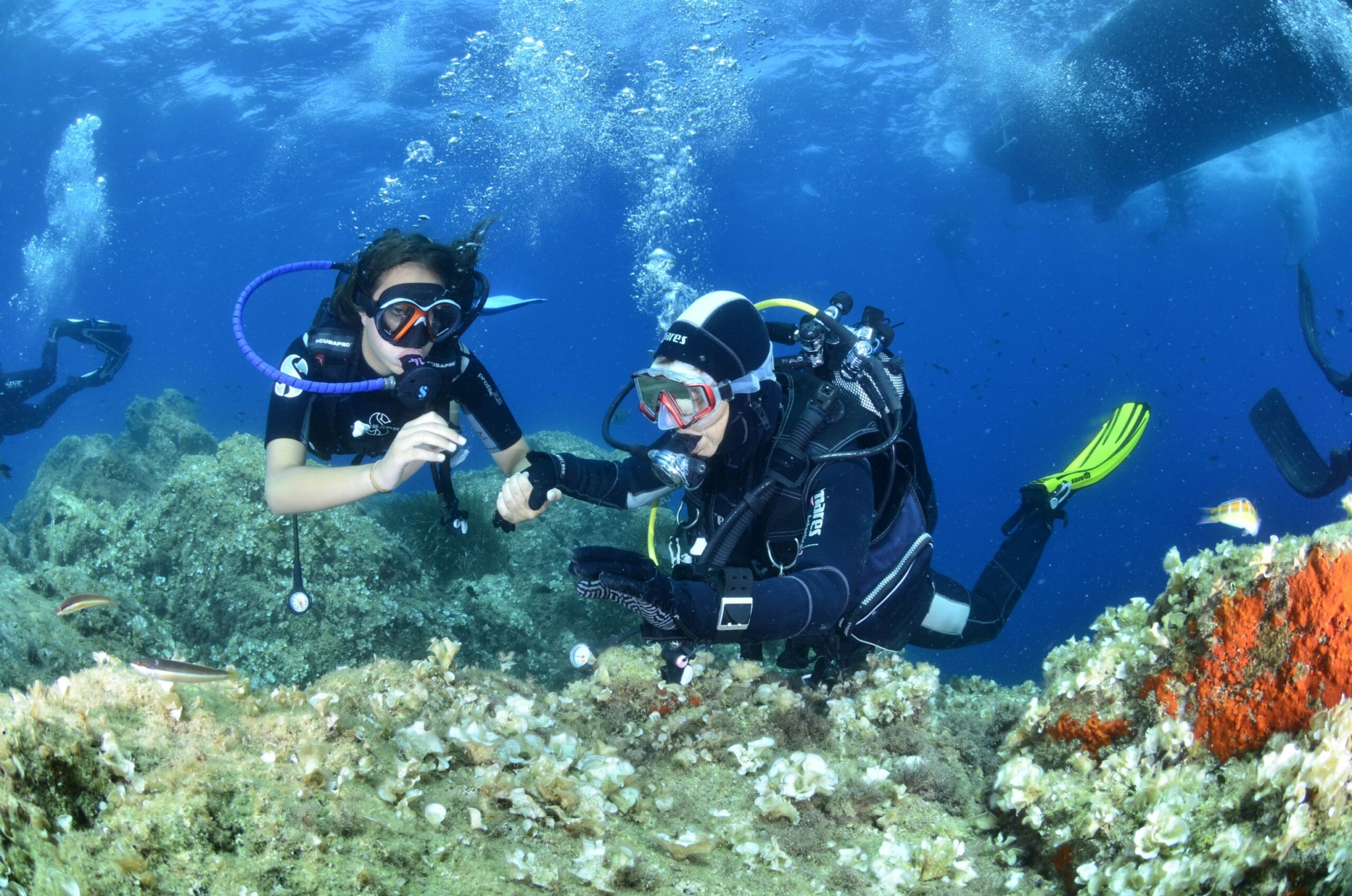 La Fédération française d’études et de sports sous-marins outille ses clubs avec HelloAsso