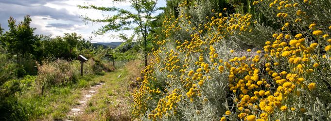 Bannière Tous VolonTerres pour la biodiversité