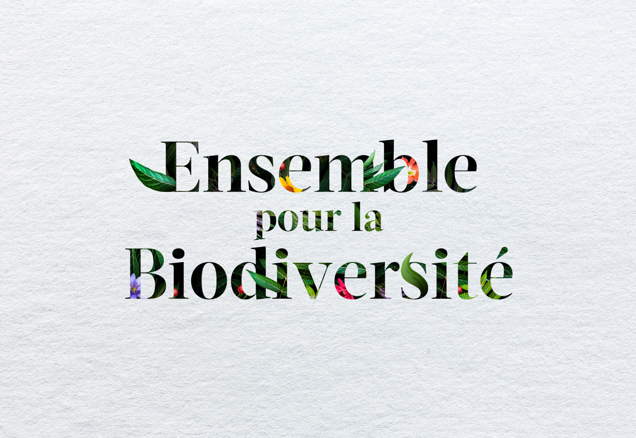 Ensemble pour la Biodiversité : comment mon association peut-elle participer ?