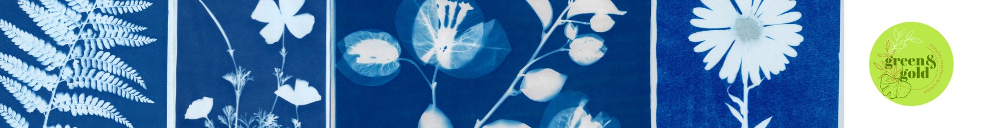 Bannière Cyanotype