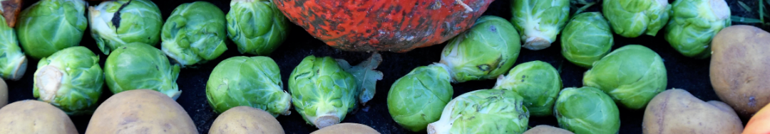 Bannière 1·2·3 Veggie Cours de cuisine - Assiette santé d'Automne