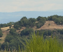 Bannière de l'action