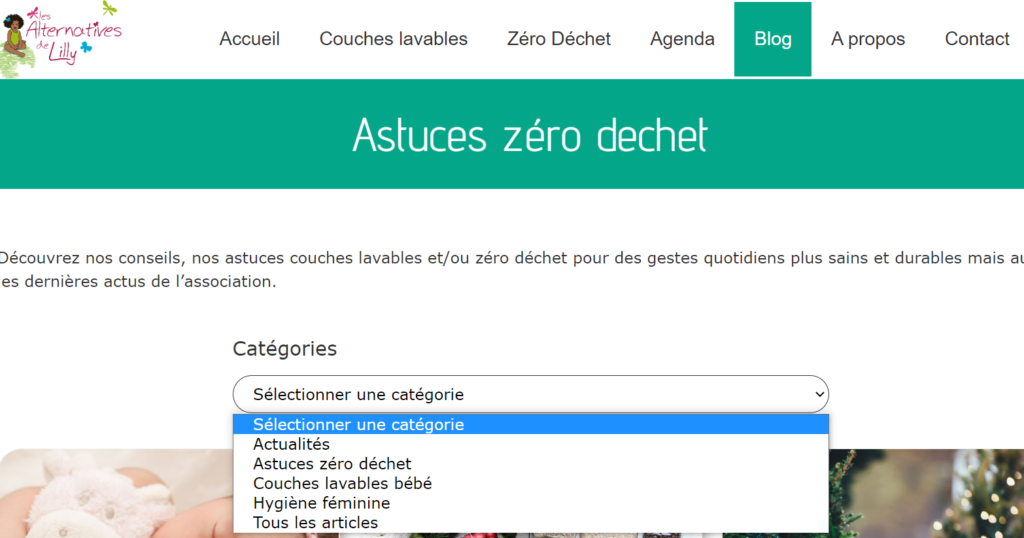 Page de blog de l'association "Les alternatives de Lilly"